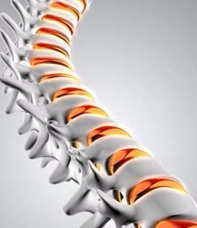 Una COLUMNA VERTEBRAL óptima, refleja el buen estado del&nbsp;CUERPO
