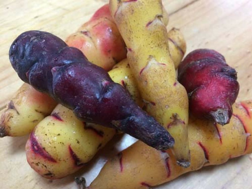 Incluye en tu dieta valiosos productos&nbsp;nativos