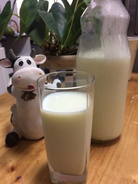 leche vaca