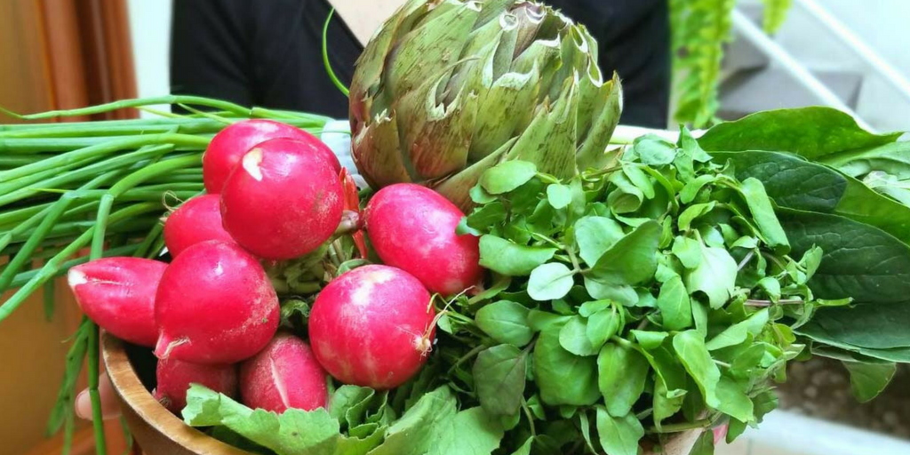 PRIMAVERA ES PURIFICACIÓN DEL HÍGADO Y VESÍCULA