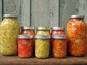 Verduras encurtidas (fermentadas)