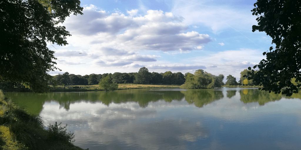 LO QUE ES ARRIBA ES&nbsp;ABAJO