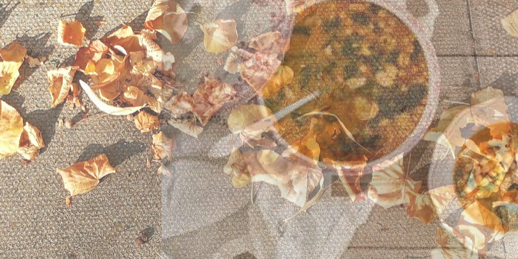 EL OTOÑO Y SU TOQUE EN LA COCINA